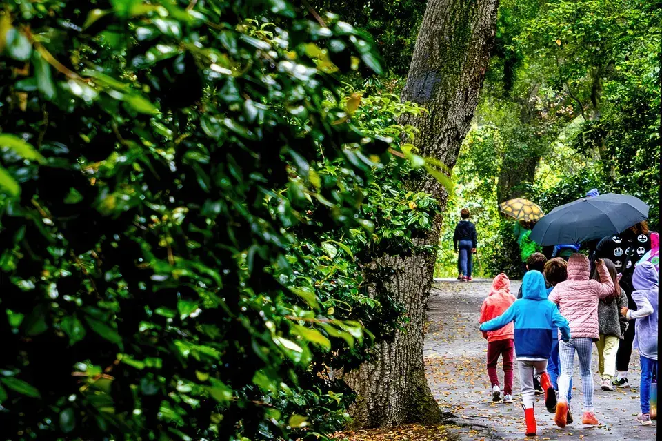 Navigating Carrollwood Roads & Emergency Roadside Demands — Carrollwood, FL