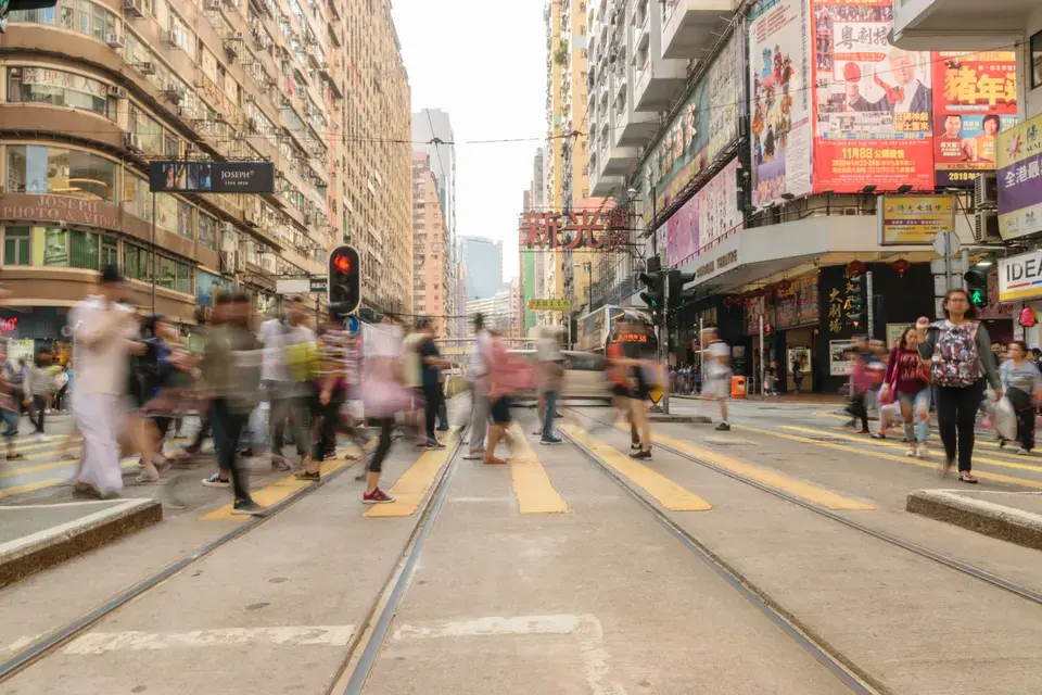 Key Areas We Serve Around Lake Magdalene in Lake Magdalene